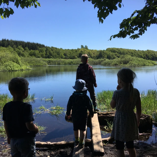 Billede af børn der står ved bredden af en sø