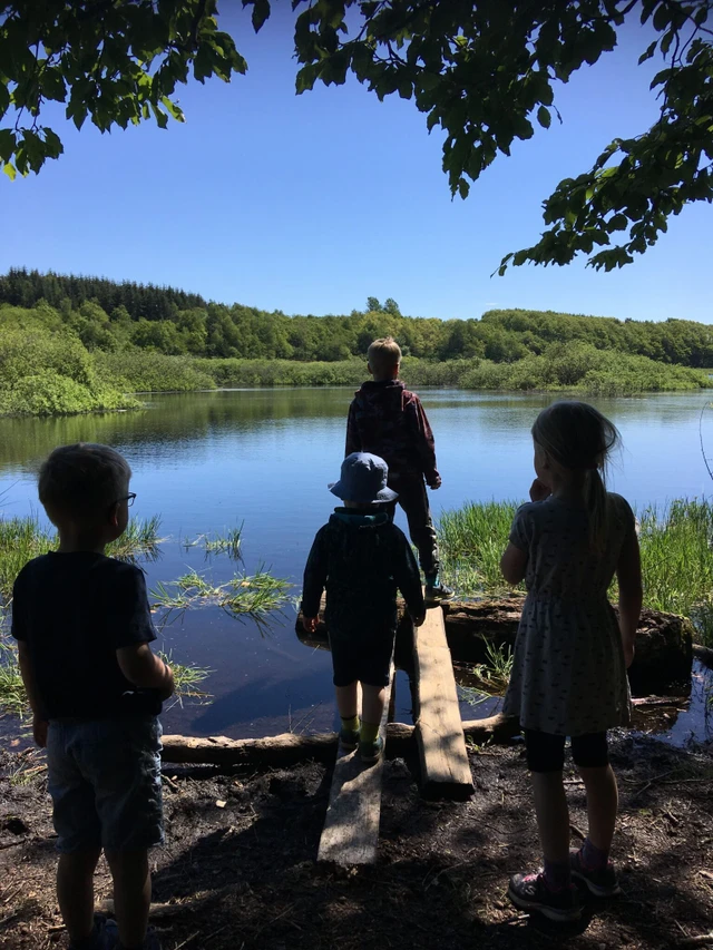 Billede af børn der står ved bredden af en sø