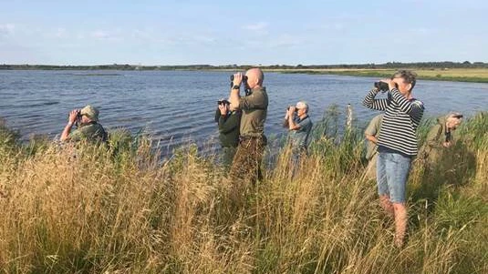 Billede af fuglekiggere der står med kikkerter