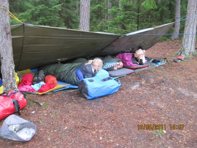 Billede af børn, der sover i shelter