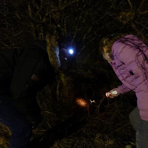Billede af barn med lommelygte i mørket