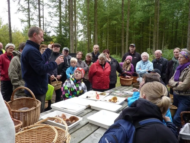 Lars Wachmann fortæller om svampe på svampeturen i Jenle Plantage
