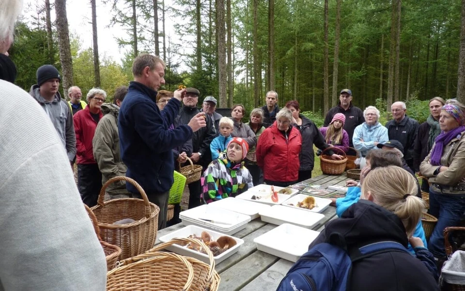 Svampetur med naturvejleder Lars Wachmann og naturvejleder Karin Winther