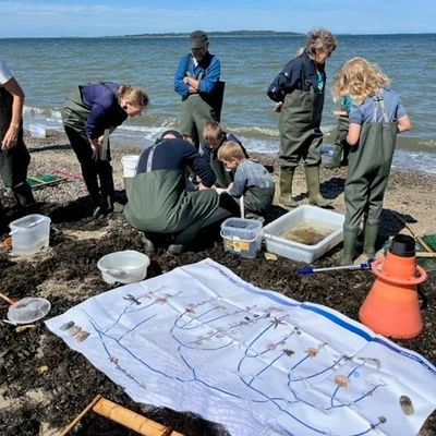 En gruppe mennesker er optaget af aktiviteter ved Limfjorden
