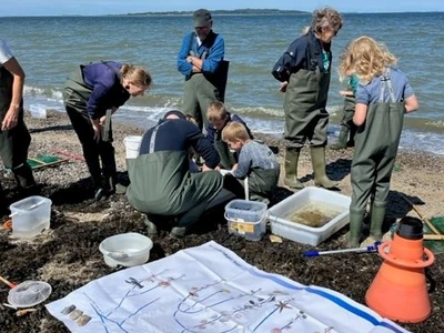 En gruppe mennesker er optaget af aktiviteter ved Limfjorden