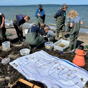 En gruppe mennesker er optaget af aktiviteter ved Limfjorden