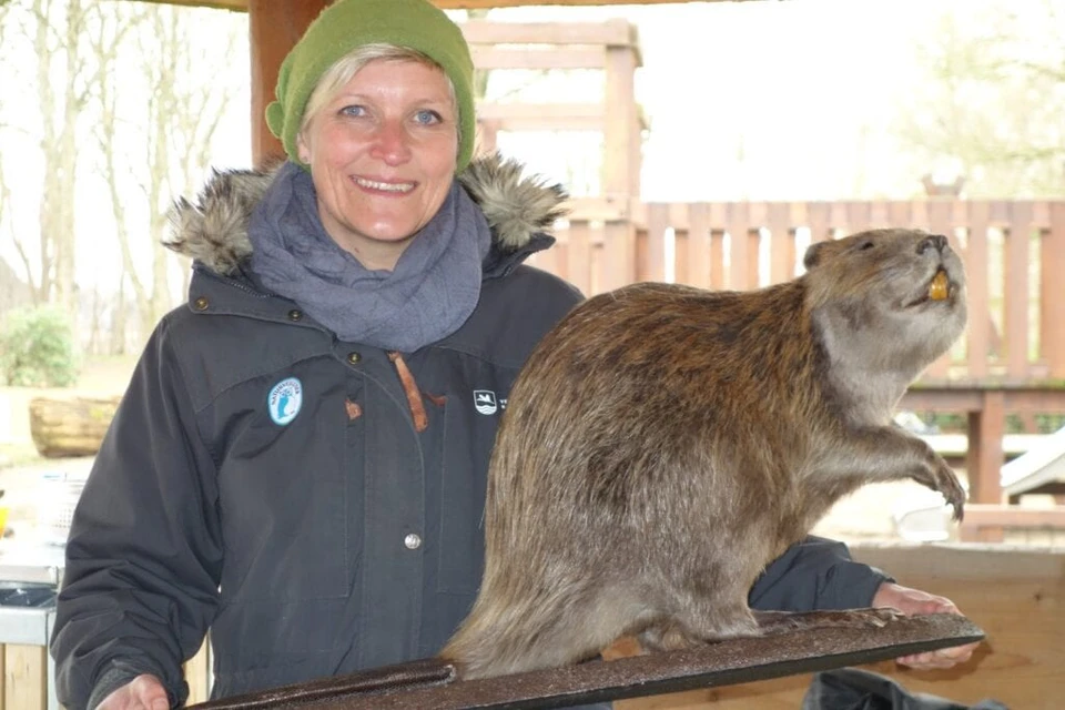Naturvejleder Karin Winther holder en udstoppet bæver