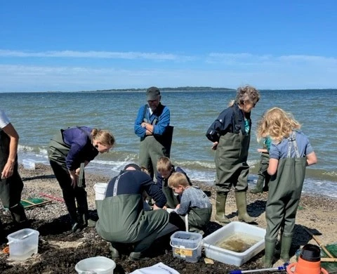 Aktiviteter ved undervandsstien på naturbasen i Hvalpsund