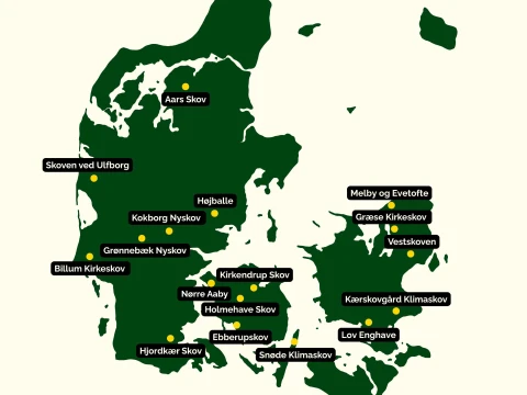 Danmark Planter Træer 2025 - lokationer