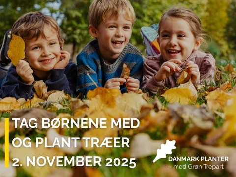 Danmark Planter Træer i Aars