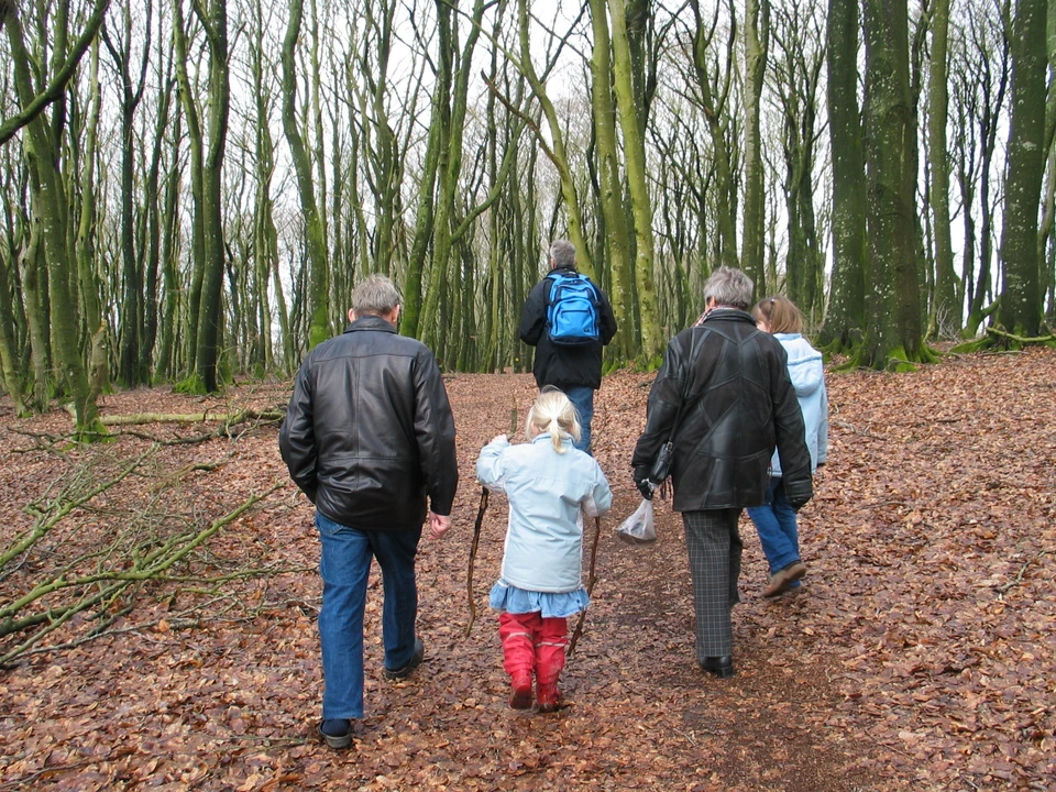 Familie vandrer med vandrestokke i skov