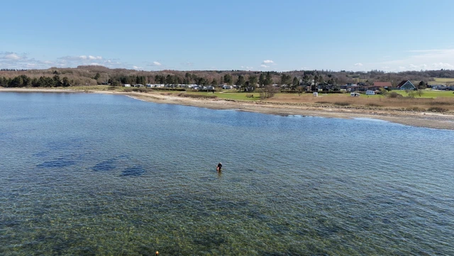 Limfjorden ved Hvalpsund og den kystnære naturbase