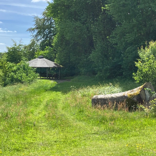Vejen op til bålhytte og shelters på naturbasen i Uhrehøje Plantage