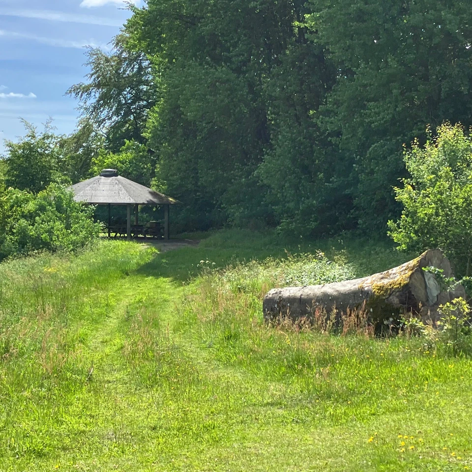 Vejen op til bålhytte og shelters på naturbasen i Uhrehøje Plantage