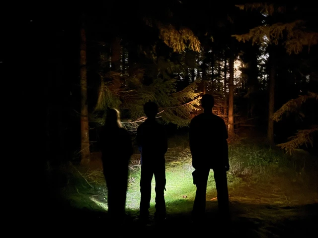 Børn følger aktivitetsruten 'Nattens jægere' i Aars Skov