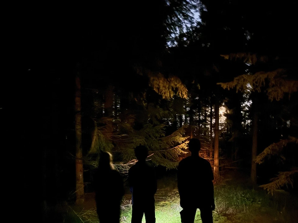 Børn følger aktivitetsruten 'Nattens jægere' i Aars Skov