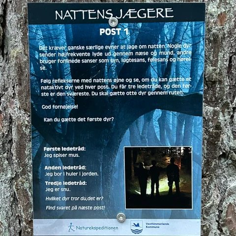 Nattens jægere i Aars Skov - post 1