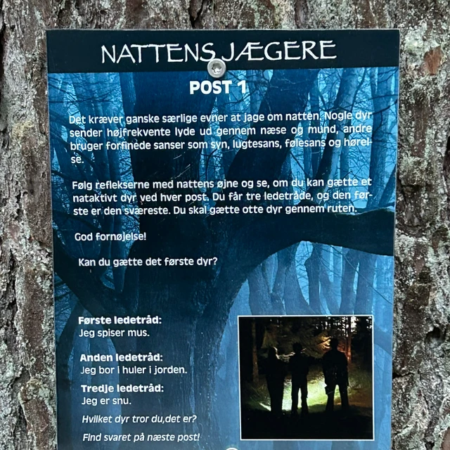 Nattens jægere i Aars Skov - post 1