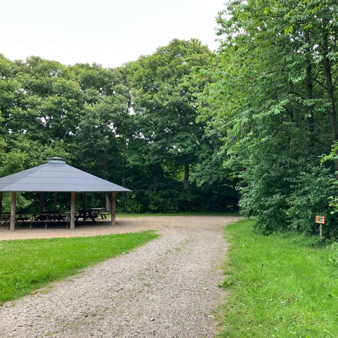Naturbasen i Aars Skov om sommeren i juli