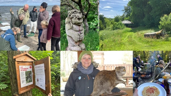 Forskellige billeder fra Naturekspeditionens arrangementer og fra naturen i Vesthimmerland