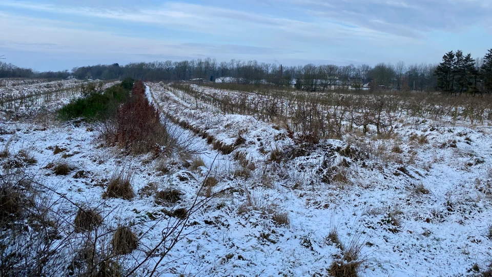 Grund, hvor det kommende svømmecenter skal være